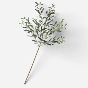 41.5” Olive Branch Threshold